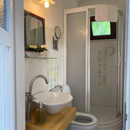 Guenebakan Taliani * Ayvalı