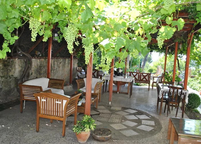 Guenebakan Taliani מלון Ayvalı