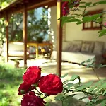 Hotel Guenebakan Taliani Ayvalı