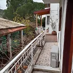 Guenebakan Taliani