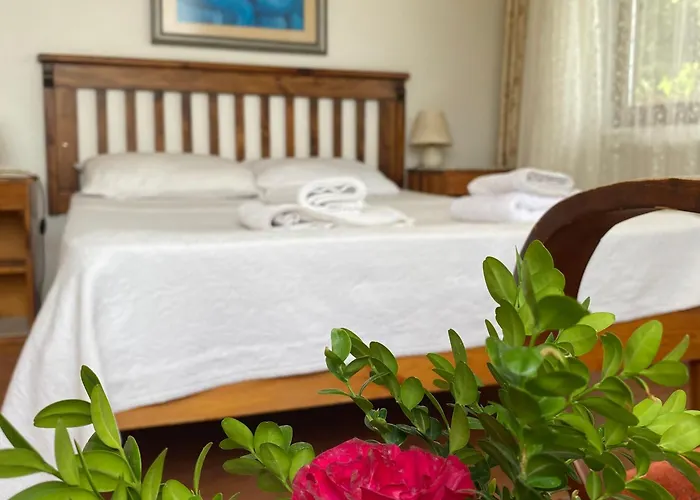 Guenebakan Taliani * Ayvalı