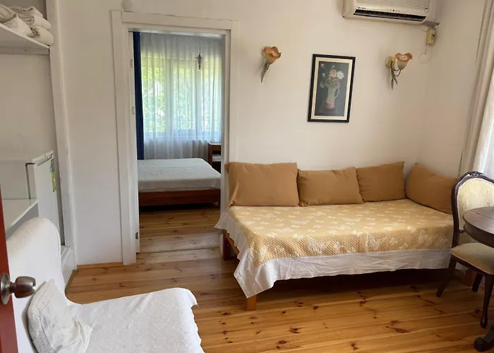 Guenebakan Taliani Ayvalı